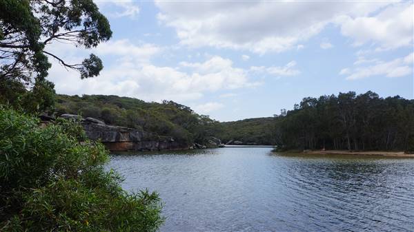 Wattamolla Beach (1/07/2016 - Credits: Mary Barltrop)