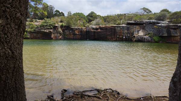 Wattamolla Beach (1/07/2016 - Credits: Mary Barltrop)