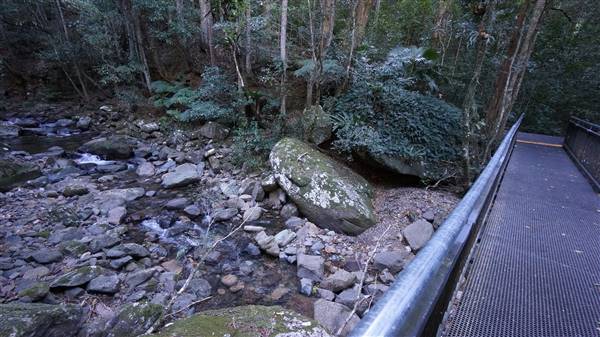 Minnamurra Rainforest Walk - Budderoo National Park (2/07/2016 - Credits: Mary Barltrop)
