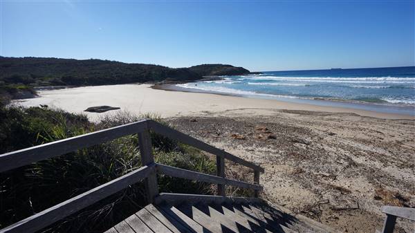 Frazer Beach Campground - Munmorah State Conservation Area (4/07/2016 - Credits: Mary Barltrop)