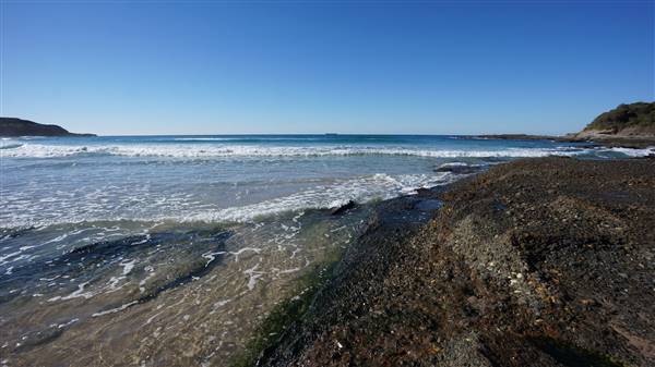 Frazer Beach Campground - Munmorah State Conservation Area (4/07/2016 - Credits: Mary Barltrop)
