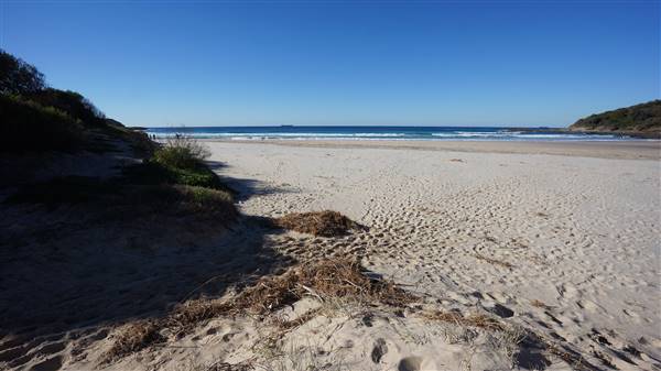 Frazer Beach Campground - Munmorah State Conservation Area (4/07/2016 - Credits: Mary Barltrop)