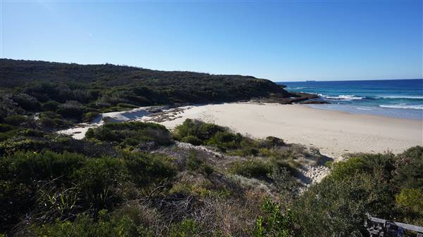 Frazer Beach Campground - Munmorah State Conservation Area (4/07/2016 - Credits: Mary Barltrop)