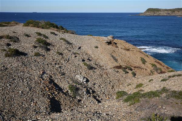 Munmorah State Conservation Area - Snapper Pt and Bongon Beach (4/07/2016)