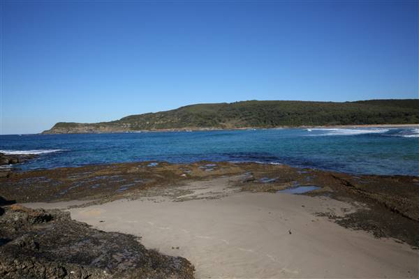 Munmorah State Conservation Area - Snapper Pt and Bongon Beach (4/07/2016)