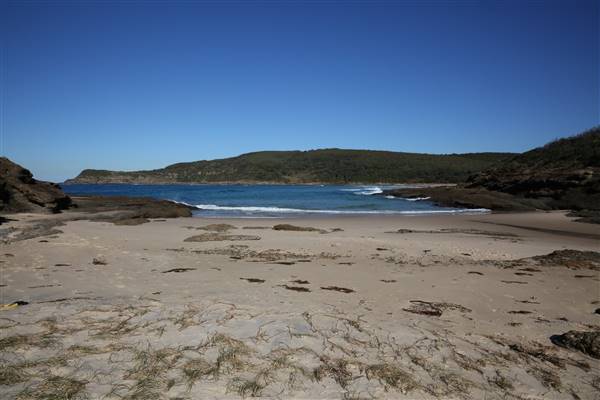 Munmorah State Conservation Area - Snapper Pt and Bongon Beach (4/07/2016)