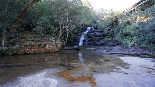 Somersby Falls picnic area - Brisbane Water National Park (4/07/2016 - Credits: Mary Barltrop)