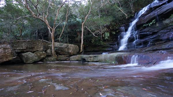 Somersby Falls picnic area - Brisbane Water National Park (4/07/2016 - Credits: Mary Barltrop)