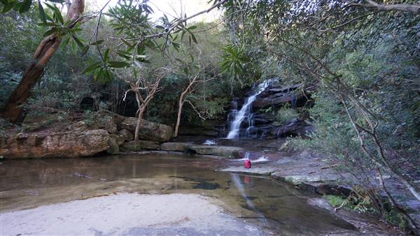 Somersby Falls picnic area - Brisbane Water National Park (4/07/2016 - Credits: Mary Barltrop)