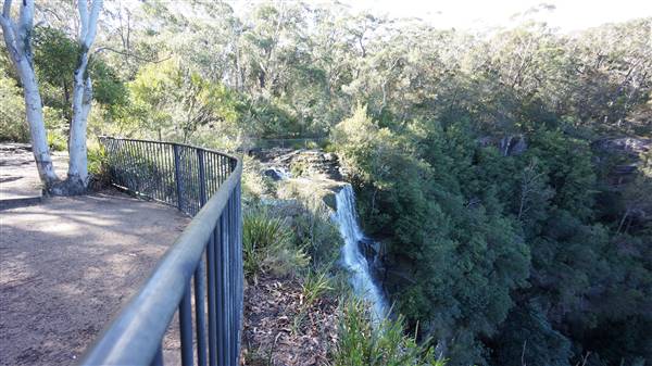 Fitzroy Falls & Twin Falls - Morton National Park (4/07/2016 - Credits: Mary Barltrop)