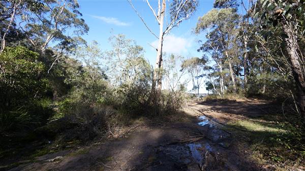 Fitzroy Falls & Twin Falls - Morton National Park (4/07/2016 - Credits: Mary Barltrop)