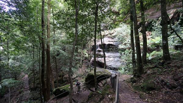Katoomba Falls Reserve Walk & Tourist Park (5/07/2016 - Credits: Mary Barltrop)