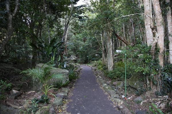 Mount Keira Scout Camp File 1 (5/07/2016)