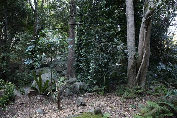 Mount Keira Scout Camp File 1 (5/07/2016)