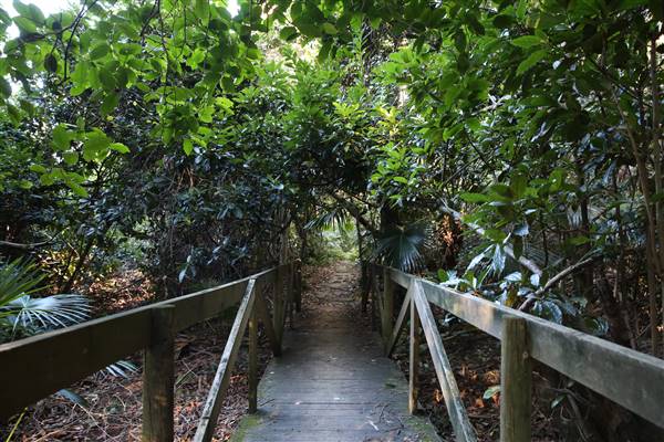 Mount Keira Scout Camp File 1 (5/07/2016)