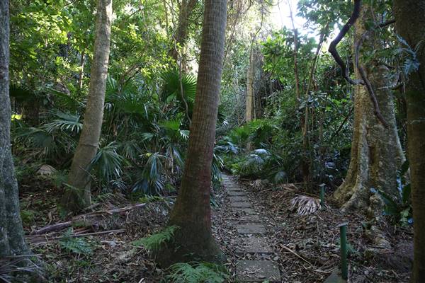 Mount Keira Scout Camp File 1 (5/07/2016)