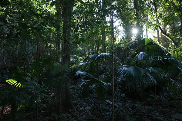 Mount Keira Scout Camp File 1 (5/07/2016)