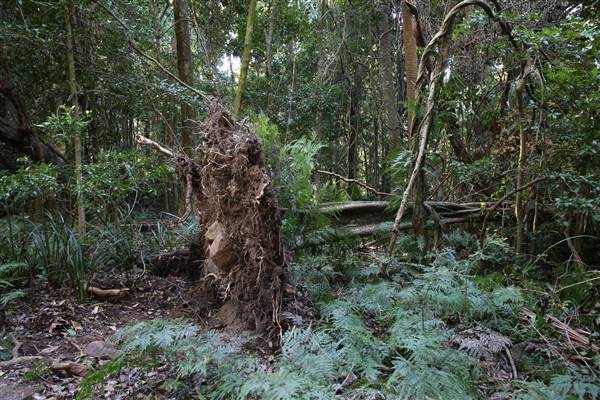 Mount Keira Scout Camp File 1 (5/07/2016)