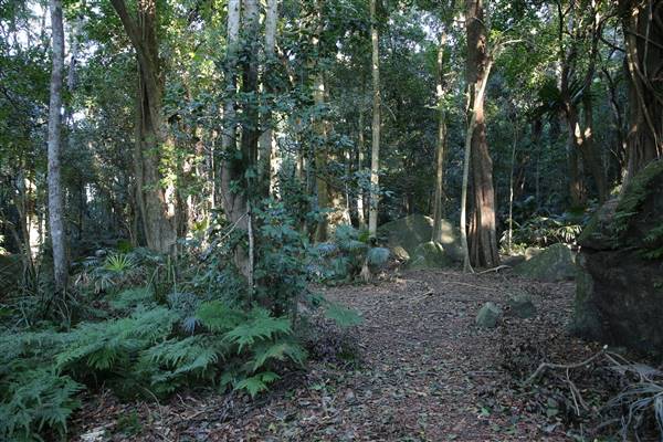 Mount Keira Scout Camp File 1 (5/07/2016)
