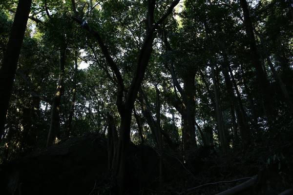 Mount Keira Scout Camp File 1 (5/07/2016)