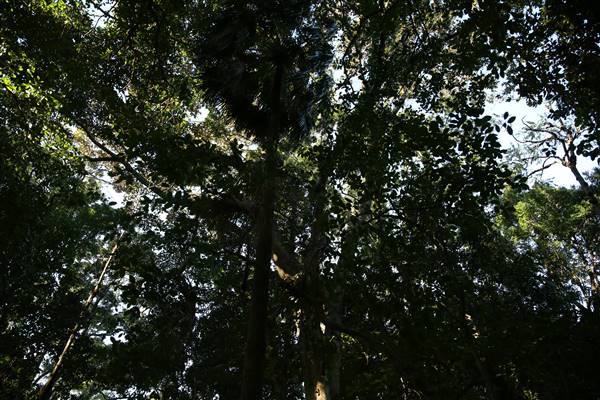 Mount Keira Scout Camp File 1 (5/07/2016)