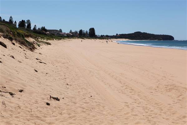 Narrabeen Beach (16/10/2016 - Credits: John Harris)
