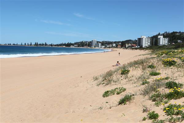 Narrabeen Beach (16/10/2016 - Credits: John Harris)
