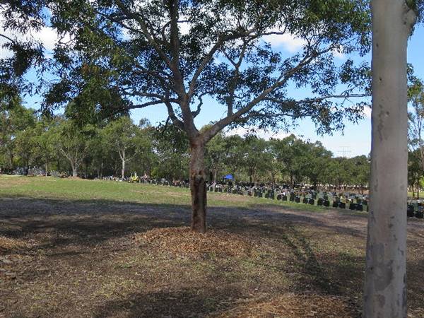 Rookwood Cemetery (10/11/2016 - Credits: Peter Hicks)