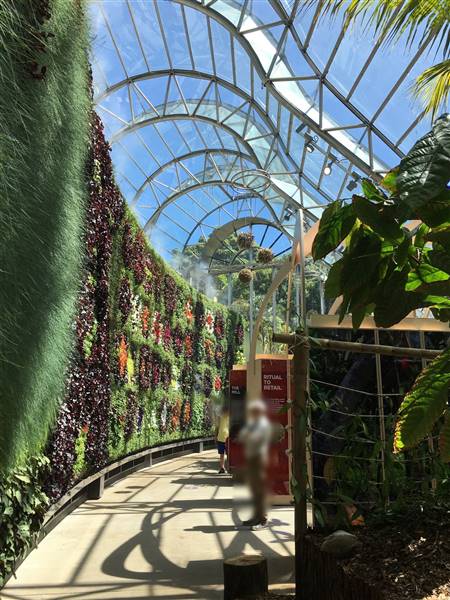 The Calyx - Royal Botanic Garden Sydney (11/11/2016)