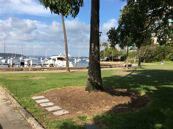 Beare Park Elizabeth Bay Marina (30/11/2016 - Credits: Mechele Axford)