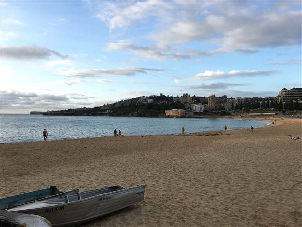Coogee Beach North - South View (28/11/2016 - Credits: Mechele Axford)