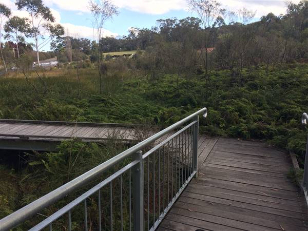 The Gully Walk, Katoomba (formerly Catalina Park) (24/05/2017 - Credits: Robyn Bersten)