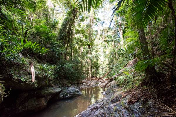 Tunsted Private Property Crystal Creek Valley (1/06/2017 - Credits: Colin McDougall)