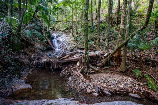 Tunsted Private Property Crystal Creek Valley (1/06/2017 - Credits: Colin McDougall)