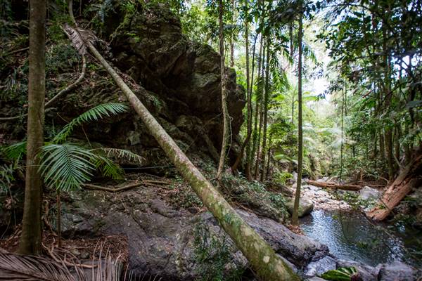 Tunsted Private Property Crystal Creek Valley (1/06/2017 - Credits: Colin McDougall)