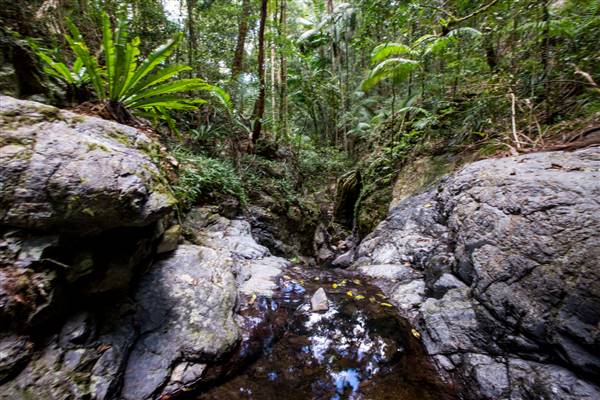 Tunsted Private Property Crystal Creek Valley (1/06/2017 - Credits: Colin McDougal)