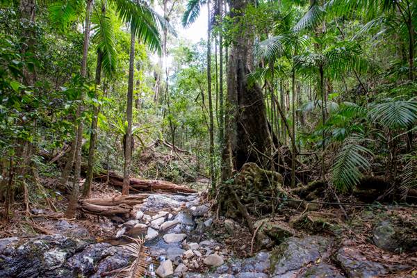 Tunsted Private Property Crystal Creek Valley (1/06/2017 - Credits: Colin McDougal)
