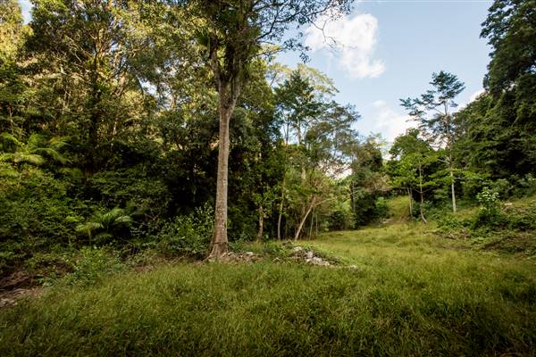Tunsted Private Property Crystal Creek Valley (8/06/2017 - Credits: Colin McDougal)