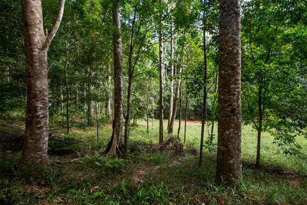 Tunsted Private Property Crystal Creek Valley (1/06/2017 - Credits: Colin McDougal)