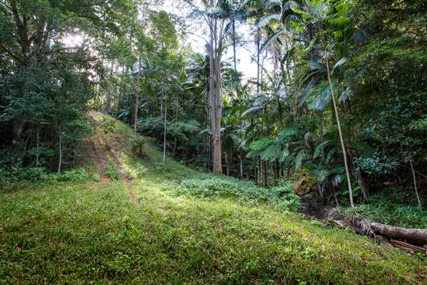 Tunsted Private Property Crystal Creek Valley (1/06/2017 - Credits: Colin McDougal)
