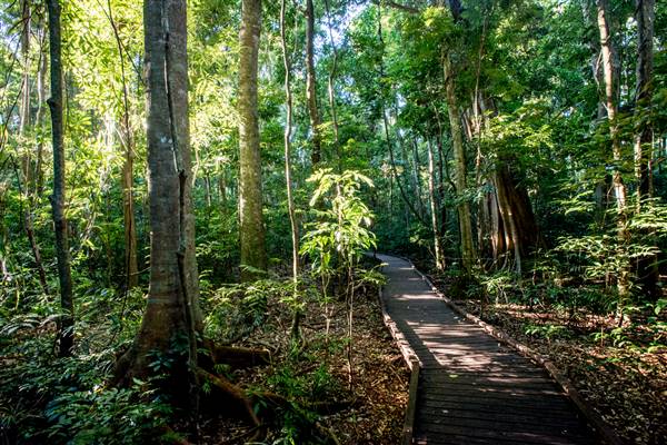 Victoria Park Nature Reserve (2/06/2017 - Credits: Colin McDougall)