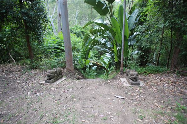 Private Property - Upper Colo (19/12/2017)