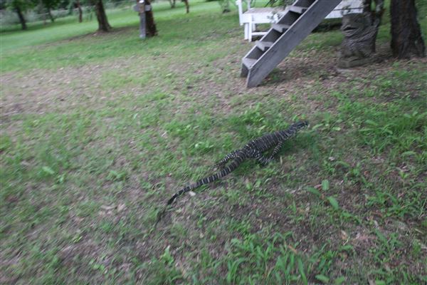 Private Property - Upper Colo (19/12/2017)