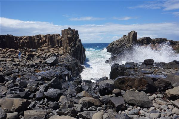 Bombo Headland Quarry (2/02/2018 - Credits: Mary Barltrop)