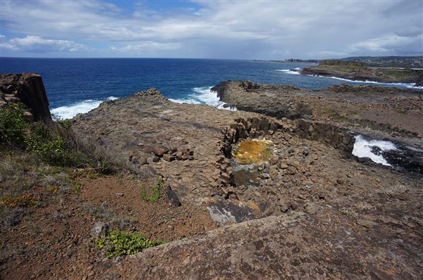 Bombo Headland Quarry (2/02/2018 - Credits: Mary Barltrop)