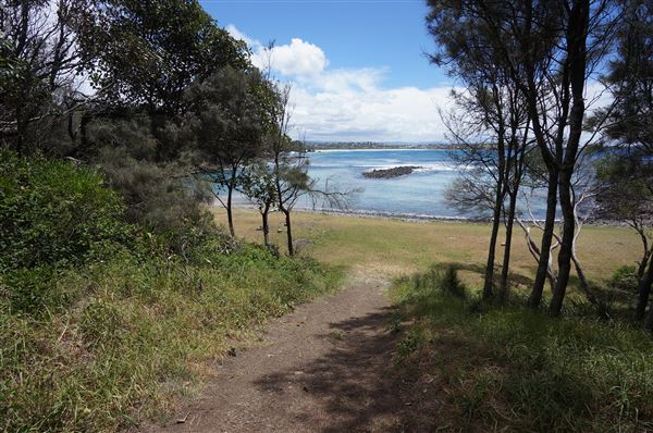Cameron Boyd Reserve (2/02/2018 - Credits: Mary Barltrop)