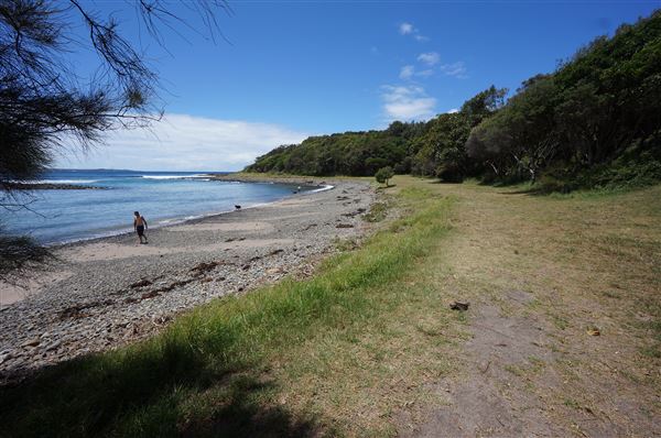 Cameron Boyd Reserve (2/02/2018 - Credits: Mary Barltrop)