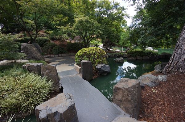 Auburn Botanic Gardens - Japanese Garden (4/02/2018 - Credits: Mary Barltrop)