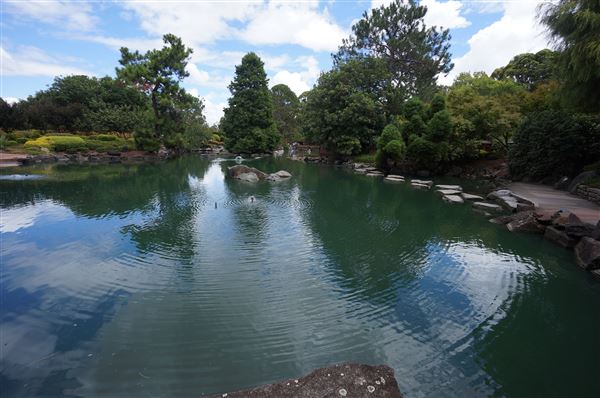 Auburn Botanic Gardens - Japanese Garden (4/02/2018 - Credits: Mary Barltrop)
