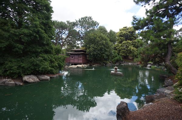 Auburn Botanic Gardens - Japanese Garden (4/02/2018 - Credits: Mary Barltrop)